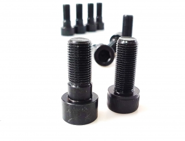 Torque lock screws